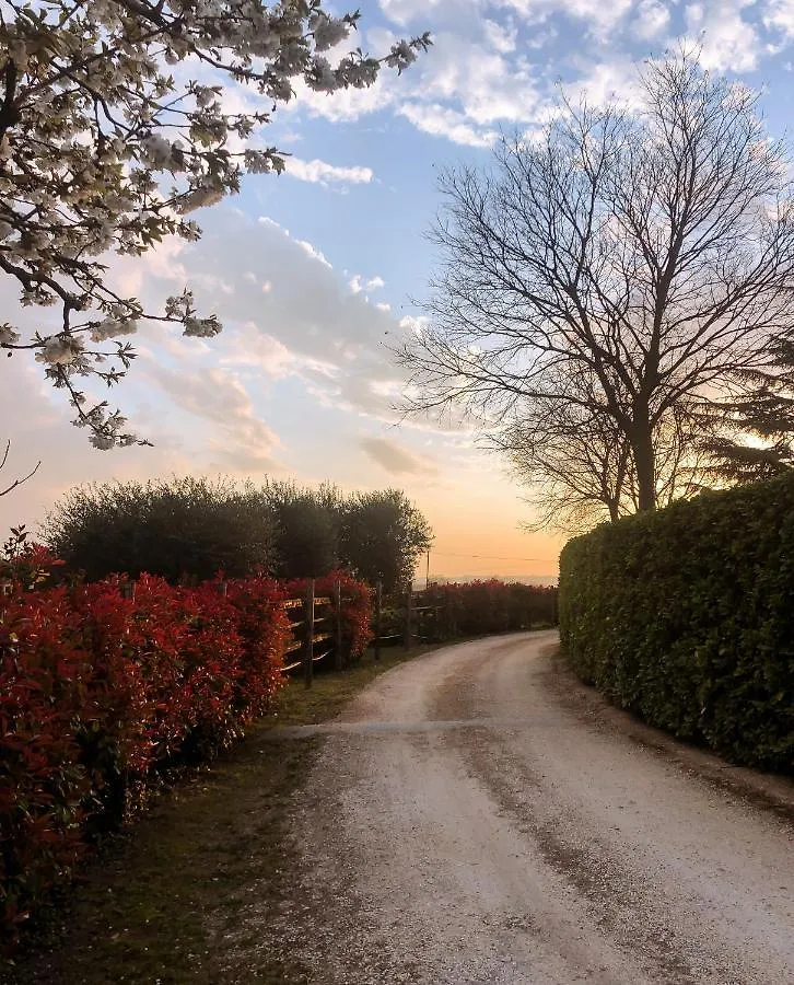B&B Cascina Mattarelle Monzambano