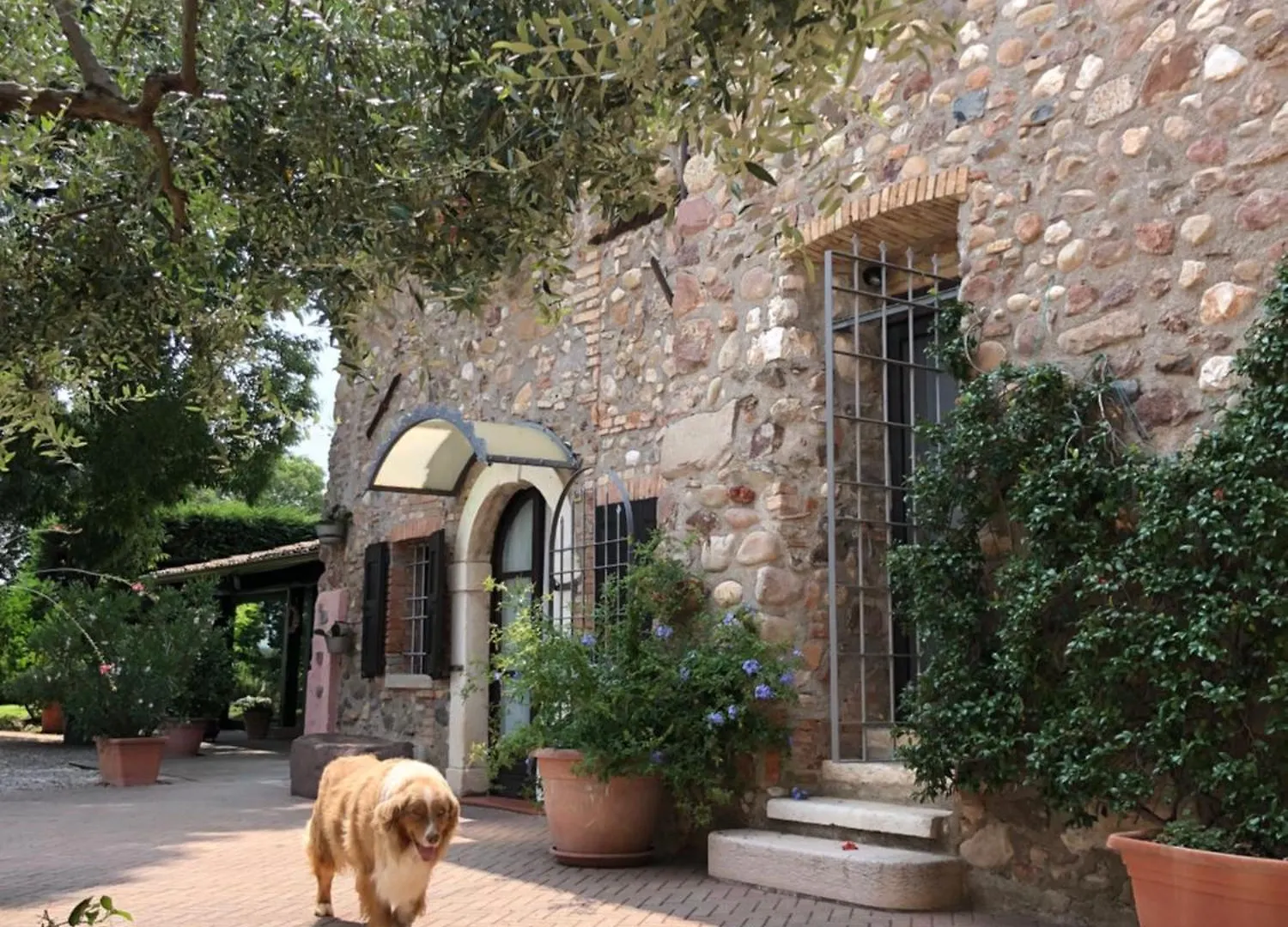 B&B Cascina Mattarelle Monzambano