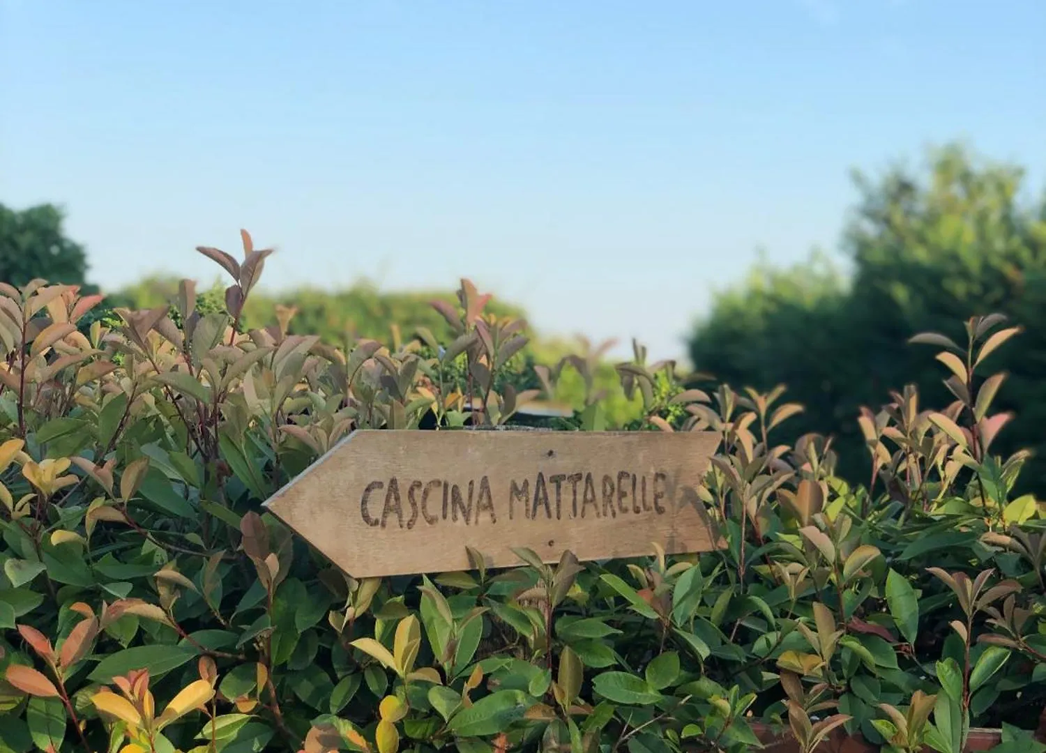 Bed & Breakfast B&B Cascina Mattarelle Monzambano