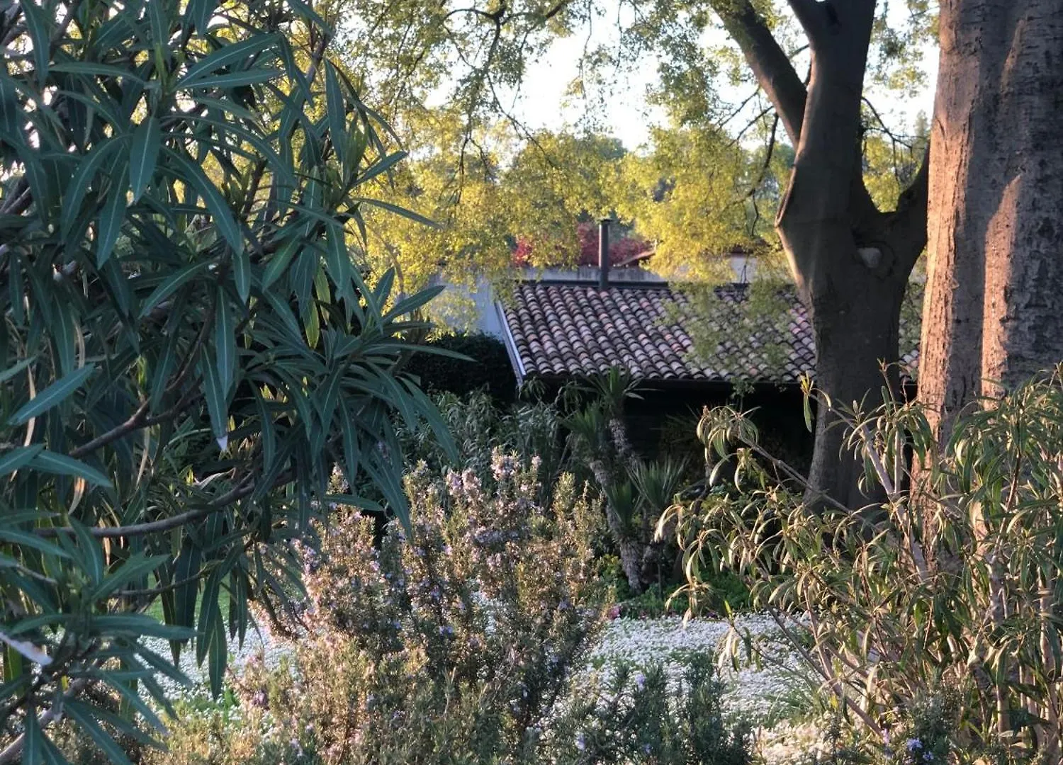 B&B Cascina Mattarelle Monzambano 0*,