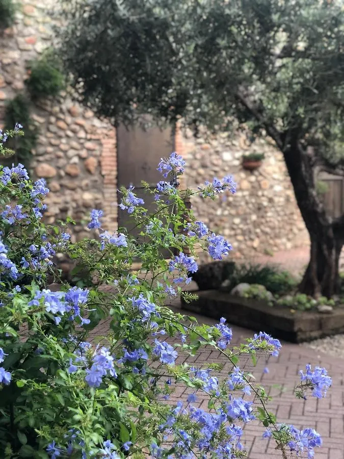 مونزامبانو B&B Cascina Mattarelle فندق مبيت وإفطار